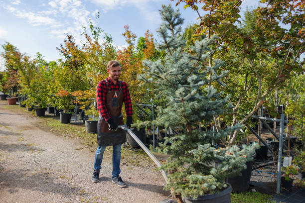 Best Aeration Services  in Collegedale, TN